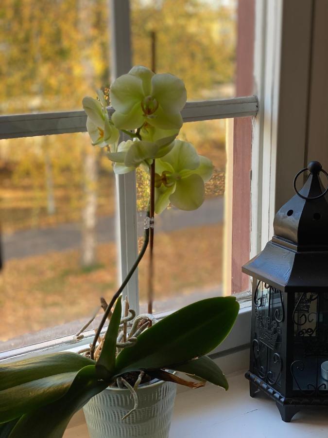 Ting1903 Bed & Breakfast Avesta Eksteriør billede